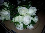 Avalanche rose and gr wedding flowers free local and surrounding areas delivery 33 bondgate darlington ass bridesmaids hand tied. 
